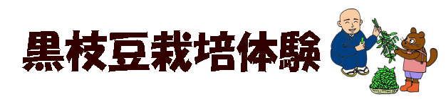 黒枝豆作り体験